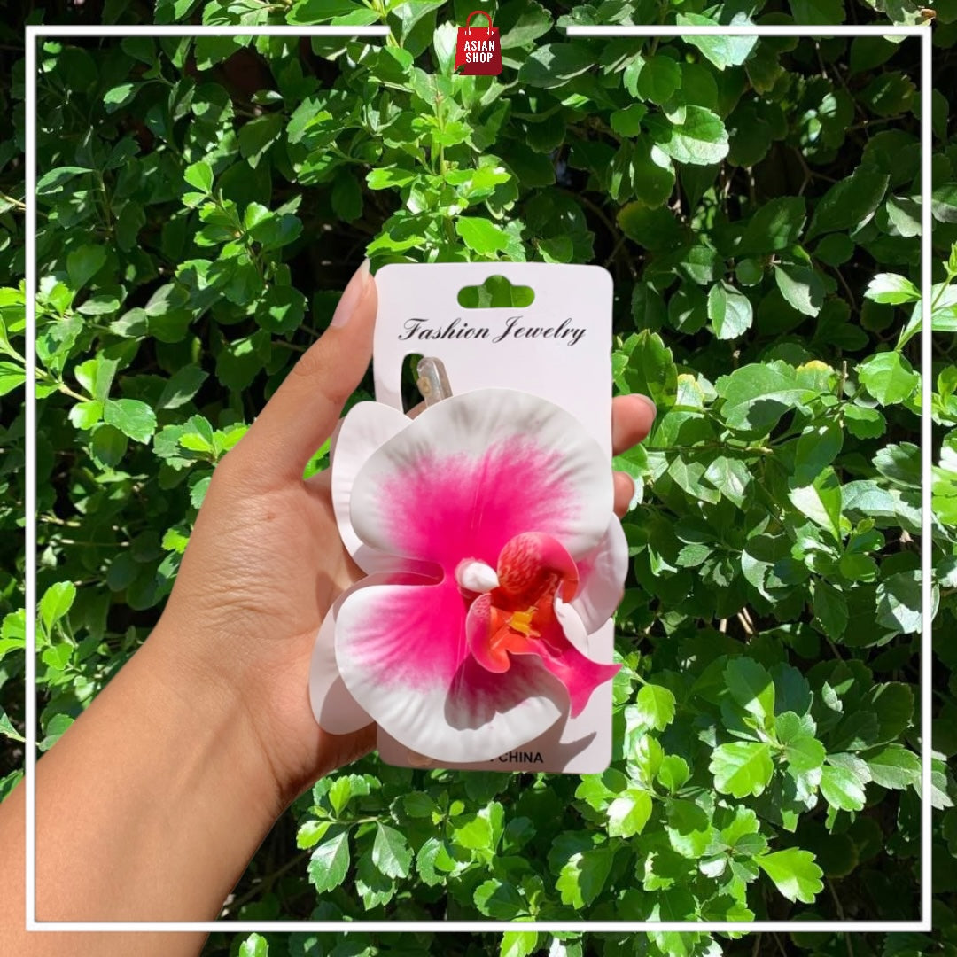 Pince fleur d'été et Tulipe