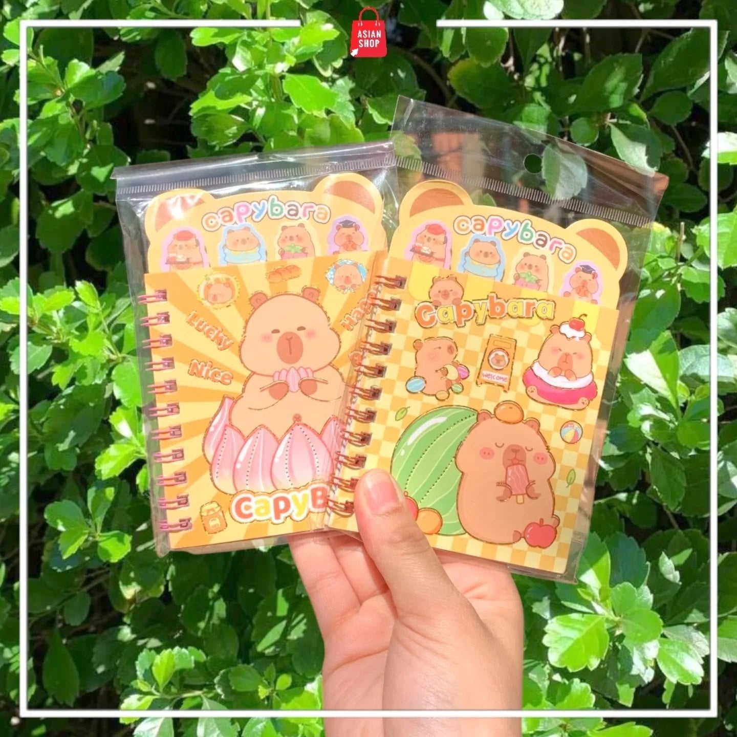 Carnet + Stickers : Sanrio,  Labubu, Stitch