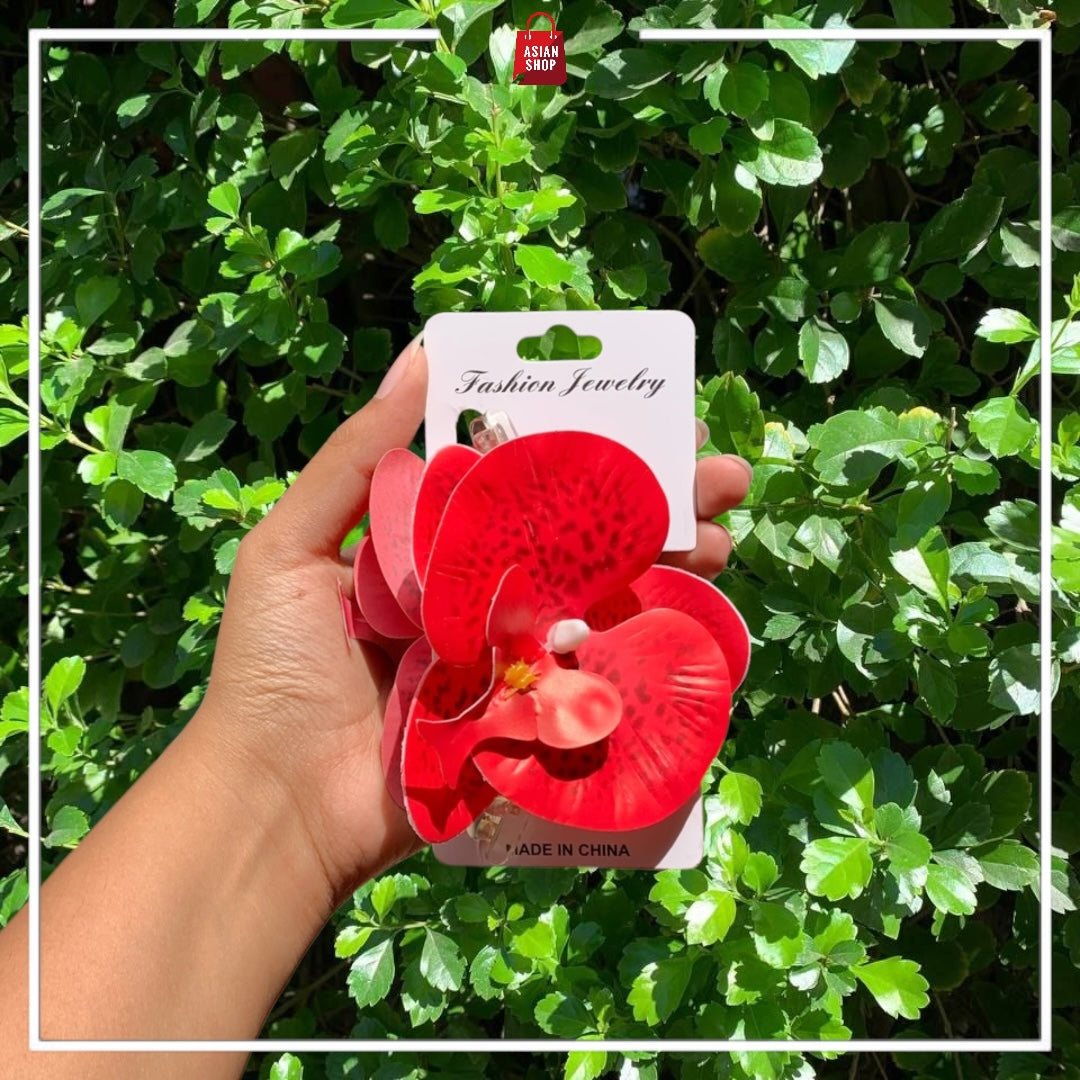 Pince fleur d'été et Tulipe