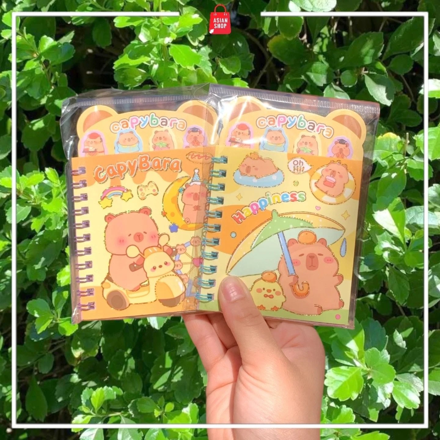 Carnet + Stickers : Sanrio,  Labubu, Stitch